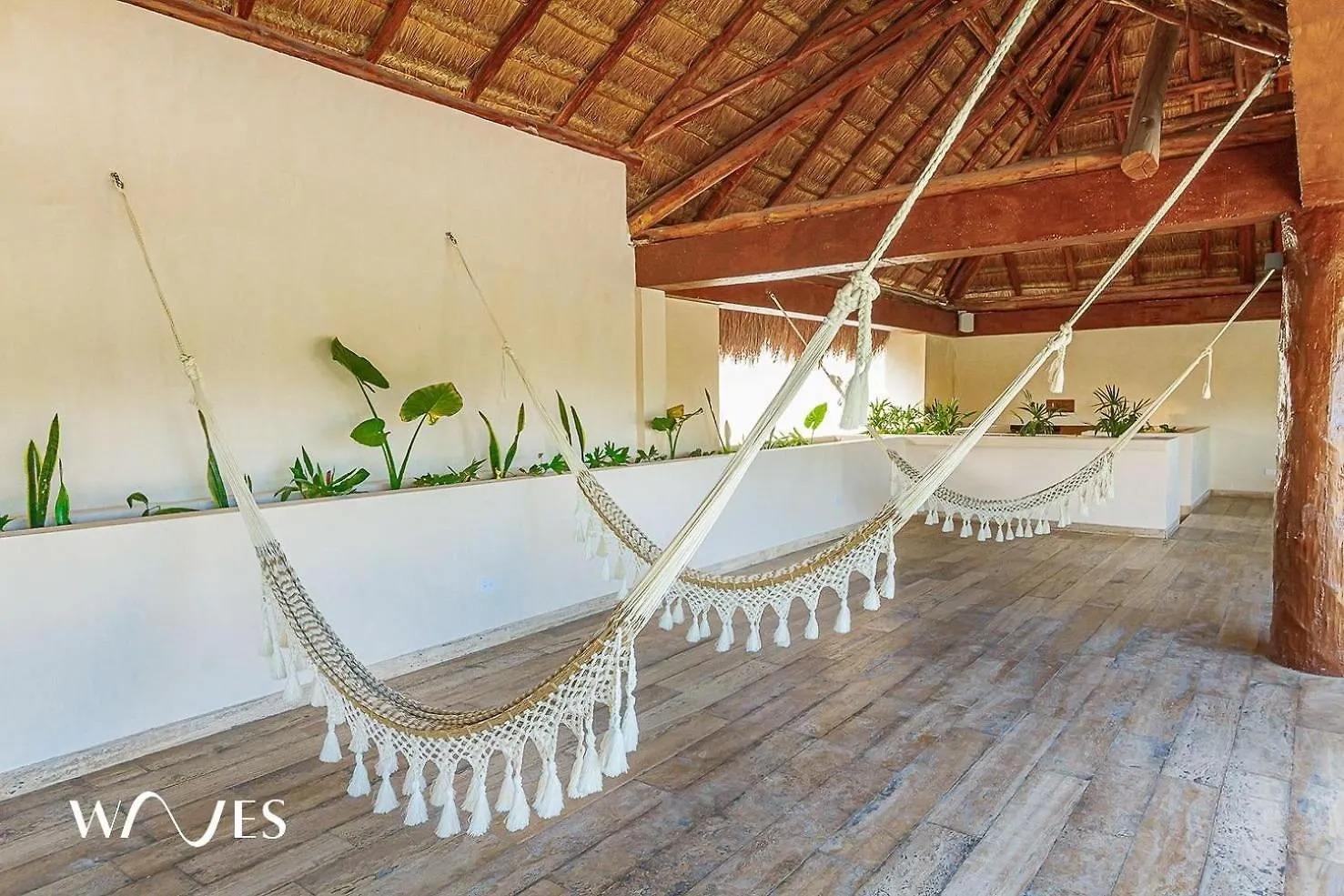 2 Rec. | Roof C/Infinity Pool + Jacuzzi | Amplio Apartment Tulum